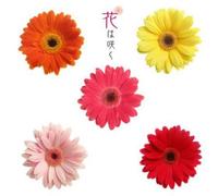 Various Artists - Hana Ha Saku NHK Orch. Flowers Will Bloom