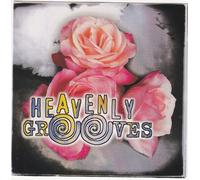 Various Artists - Heavenly Grooves