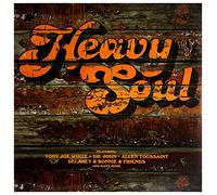 VARIOUS ARTISTS - HEAVY SOUL [Vinilo]