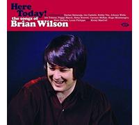 Various Artists - Here Today! The Songs Of Brian Wilson [VINYL] [Vinilo]