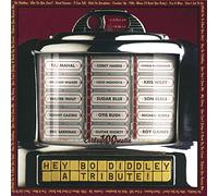 Various Artists - Hey Bo Diddley-A Tribute!