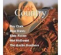 Various Artists - Hot Country Hits 1