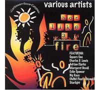 Various Artists - Hot Like A Fire