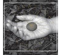 Various - Imagination Anthem Vol.5