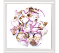 Various Artists - In Love & Light 1 / Various