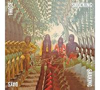 Various Artists - Indonesian Hard Psychedelic Progressive Rock & Fun [Vinilo]
