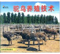 Various Artists - Karaoke: Traditional Christmas 1