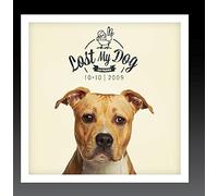 Various Artists - Lost My Dog 10x10 - 2009