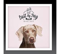 Various Artists - Lost My Dog 10x10 - 2013