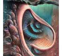 Various Artists Meddle Reimagined: A Tribute to Pink F (Vinyl) (Importación USA)