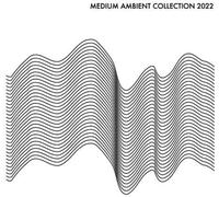 Various Artists - Medium Ambient Collection 2022 White (Various Artists) [Vinilo]