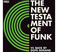 Various Artists - New Testament of Funk 6