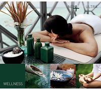 Various Artists - Nonplusultra-Wellness