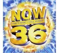 Various Artists - Now That's What I Call Music 36 (South Africa Series)