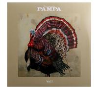 VARIOUS ARTISTS - PAMPA VOL. 1 [Vinilo]