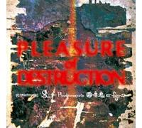 Various Artists - Pleasure of Destruction
