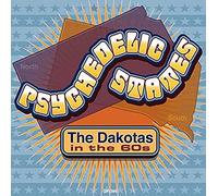 Various Artists - Psychedelic States (Various Artists)