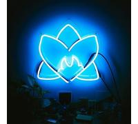Various Artists - Radiating Light / Various [VINYL] [Vinilo]