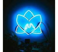 Various Artists - Radiating Light / Various [VINYL] [Vinilo]