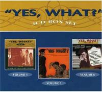 Various Artists - Radio Revisited - Yes,What? Vols 4-6 (Aust Excl)