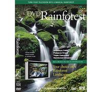 Various Artists - Rainforest