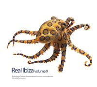 Various Artists - Real Ibiza, Vol. 9