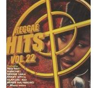 Various Artists - Reggae Hits in the Mix Vol. 22