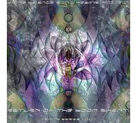 Various Artists - Return of the Boom Shanti 1 / Various