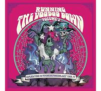 VARIOUS ARTISTS - RUNNING THE VOODOO DOWN 2 [Vinilo]