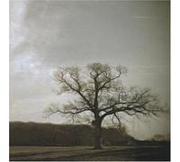 Various Artists - Silence Was Warm Vol.2