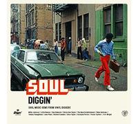 VARIOUS ARTISTS - SOUL DIGGIN' - SOUL MUSIC GEMS FROM VINYL DIGGERS [Vinilo]