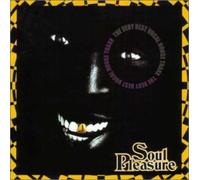 Various Artists - Soul Pleasure - The Very Best Vocal House Traxx