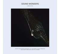 Various Artists - Sound Wonders: A Series of Epics (Limited Edition) (LP)