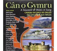 Various Artists - Souvenir Of Wales In Song
