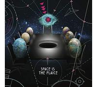 VARIOUS ARTISTS - SPACE IS THE PLAICE [Vinilo]