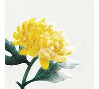 Various Artists - Spring Snow [Vinilo]