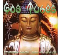 Various Artists - Stonehenge dancer rain on genesisi