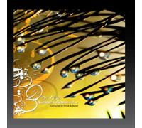 Various Artists - Summer Collection Vol. 2 - Dawn