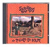 Various Artists - Surprise Your Pig: Tribute to Rem
