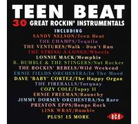 Various Artists - Teen Beat 30 Rockin Instr