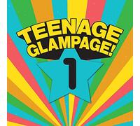 VARIOUS ARTISTS - TEENAGE GLAMPAGE - CAN THE GLAM 2 - 4CD CLAMSHELL BOX SET