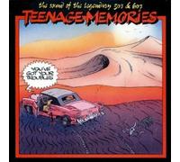 Various Artists - Teenage Memories. You've Got Your Troubles.