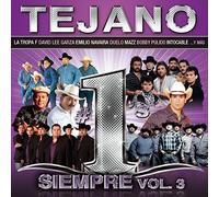 Various Artists - Tejano #1's Siempre Vol.3