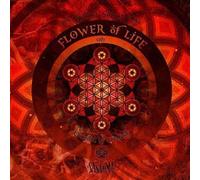 Various Artists - The Ancient Secret of the Flower of Life