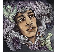 Various Artists - The Best Of James Marshall Hendrix [Vinilo]