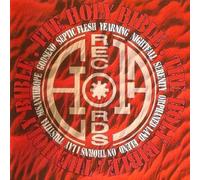 Various artists - The holy bible