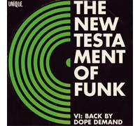 Various Artists - New Testament of Funk 6