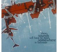 Various Artists - These Sounds Will Have to Meet Somewhere