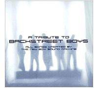 Various Artists - Tribute To Backstreet Boy