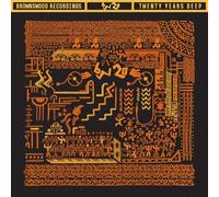VARIOUS ARTISTS - TWENTY YEARS DEEP